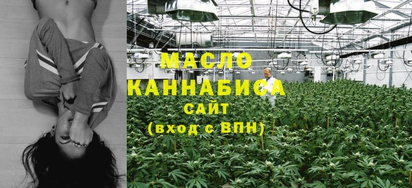 винт Пересвет