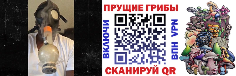 Галлюциногенные грибы GOLDEN TEACHER  Кириллов 